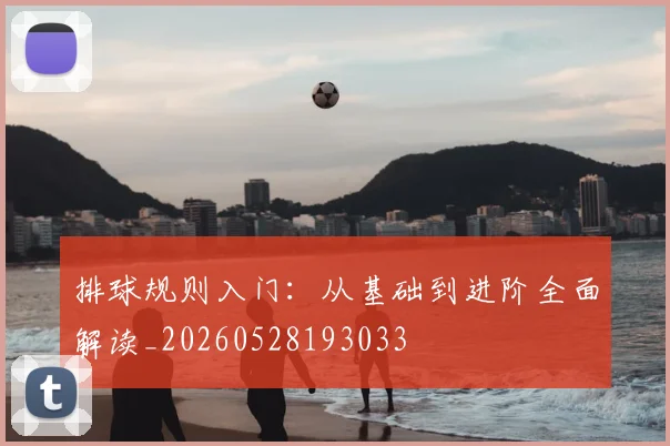 排球规则入门：从基础到进阶全面解读_20260528193033