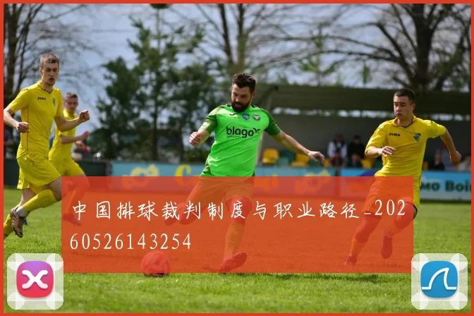 中国排球裁判制度与职业路径_20260526143254